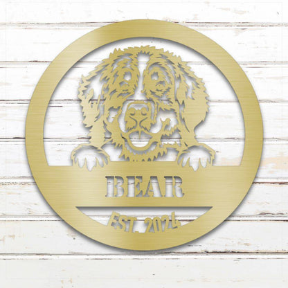 Gold Bernese Mountain Dog personalized metal wall art with custom name and year; handcrafted from rustproof, weatherproof American steel | Barkhaus Metal Co.