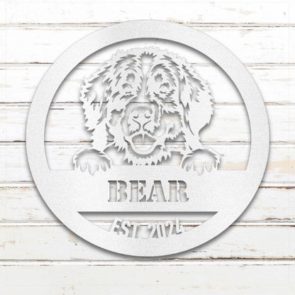 White Bernese Mountain Dog personalized metal wall art with custom name and year; handcrafted from rustproof, weatherproof American steel | Barkhaus Metal Co.