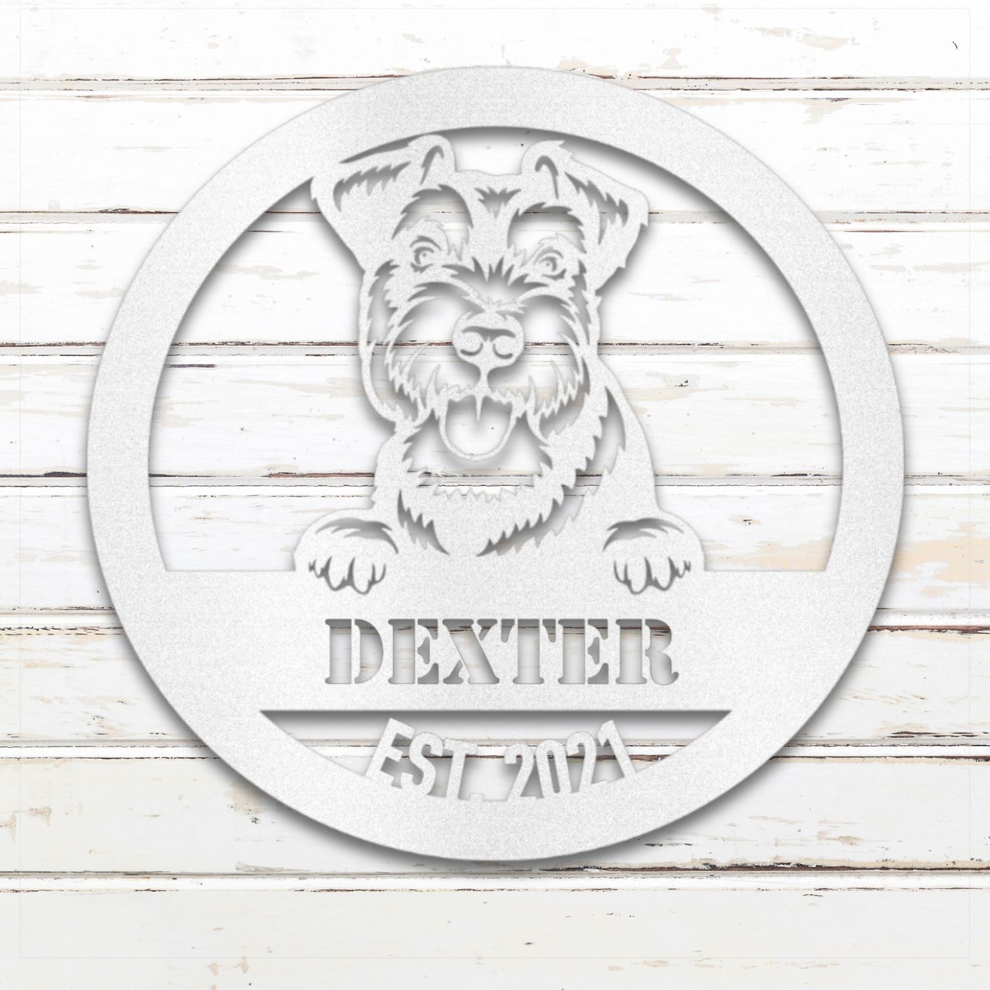 White Miniature Schnauzer personalized metal wall art with custom name and year; handcrafted from rustproof, weatherproof American steel | Barkhaus Metal Co.